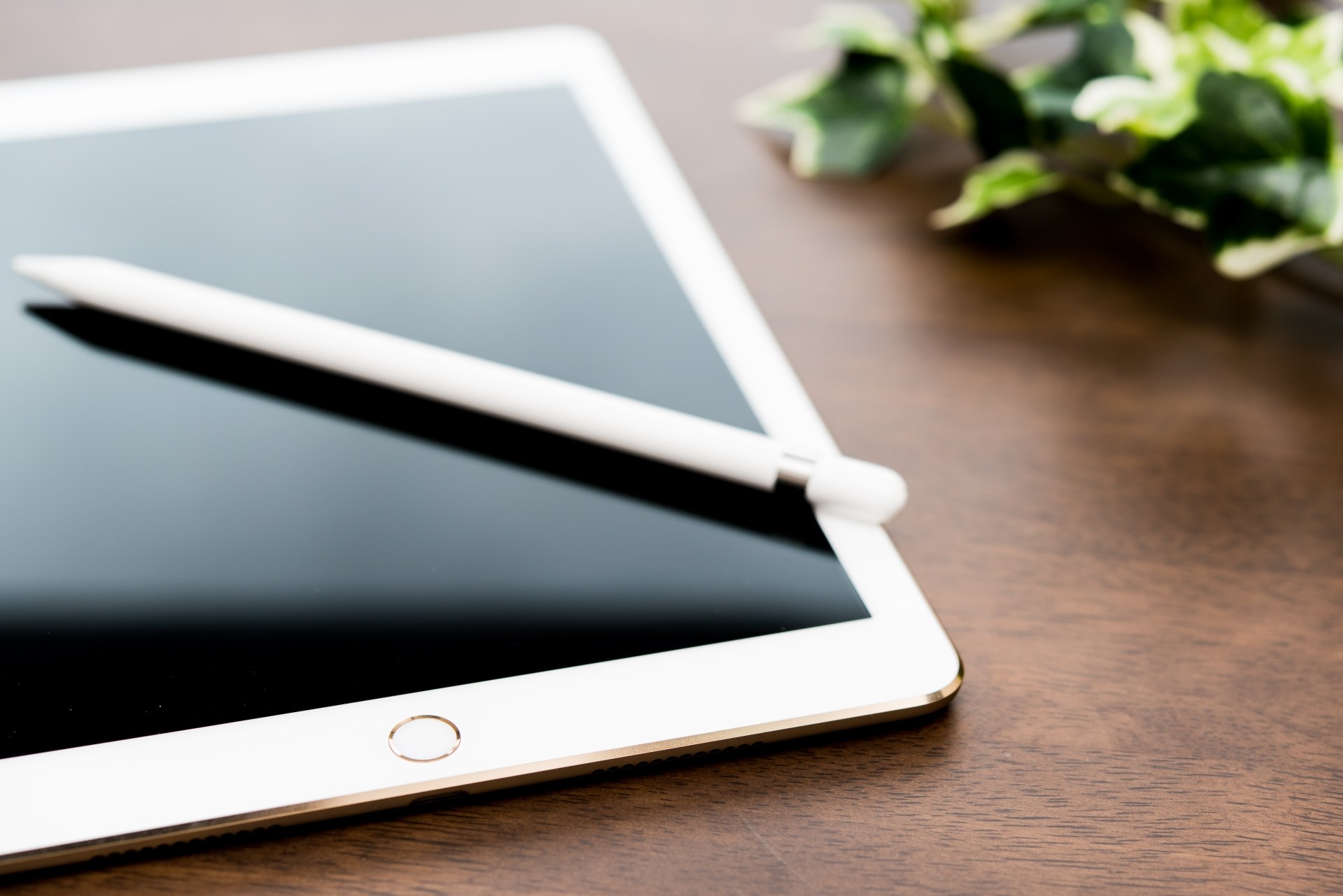 iPadレンタル1ヶ月|料金の目安と向いている使い方