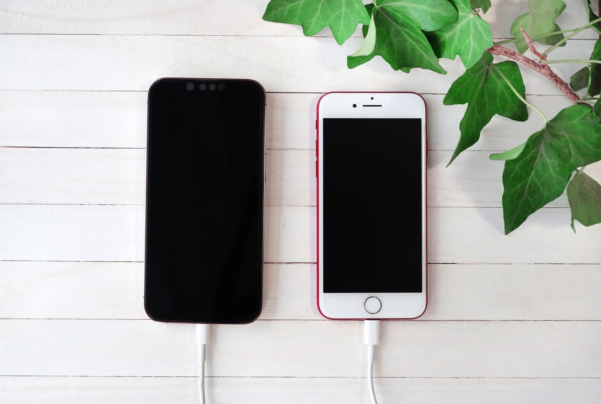 数日〜数週間の利用でつまずきやすいiPhoneならではの準備